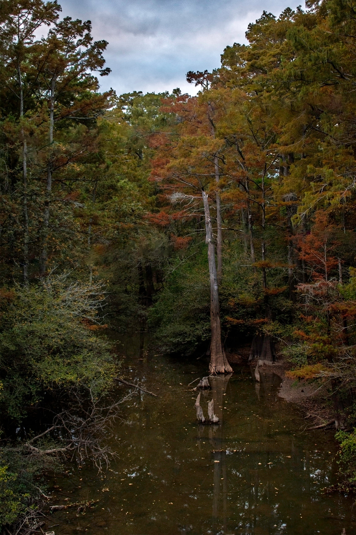 Autumn Bayou